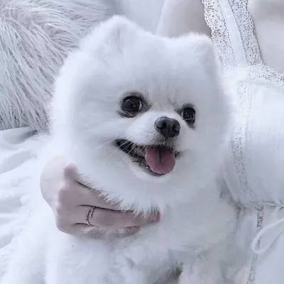 冷血外传破解版下载