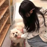 永恒的暑假汉化破解版下载